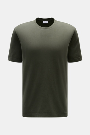 04651 / A trip in a bag - Herren - Rundhals-T-Shirt 'Jersey Tee' graugrün