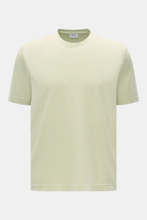 04651 / A trip in a bag - Herren - Rundhals-T-Shirt pastellgrün
