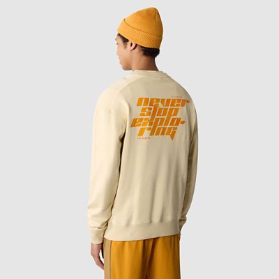 TheNorthFace The North Face Graphic Sweater Gravel grau
